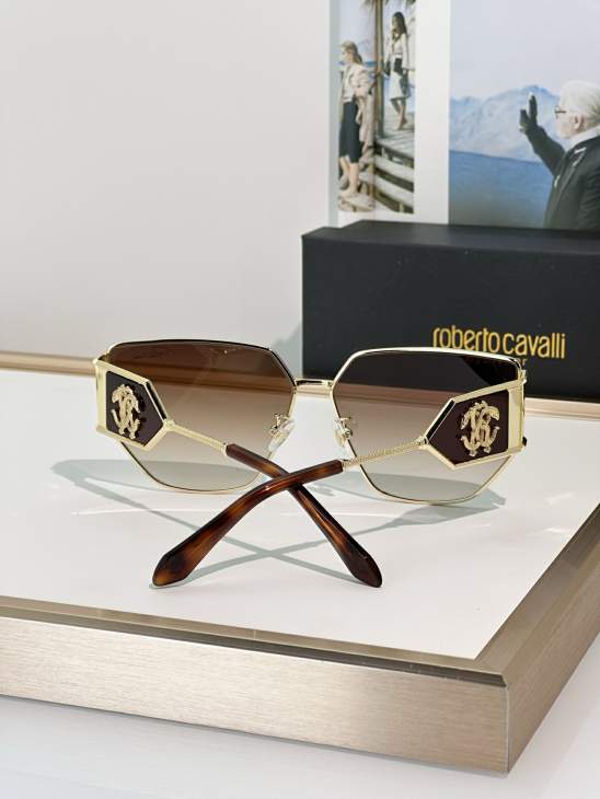 Picture of Roberto Cavalli Sunglasses _SKUfw74777876fw